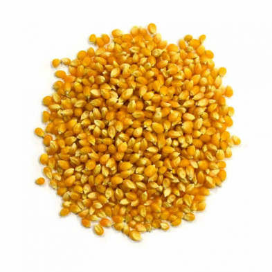 Imagen maiz crudo para palomitas bolsa 1kg Imagen maiz crudo para palomitas bolsa 1kg