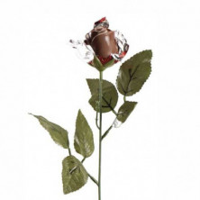 imagen 3 de rosa chocolate 20grs