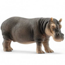 Imagen hipopotamo