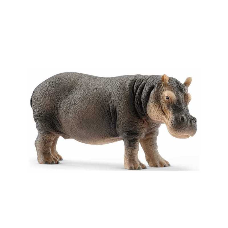 Imagen hipopotamo