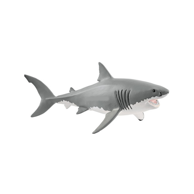 Imagen tiburon blanco