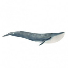 Imagen ballena azul