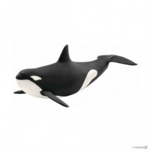 Imagen orca