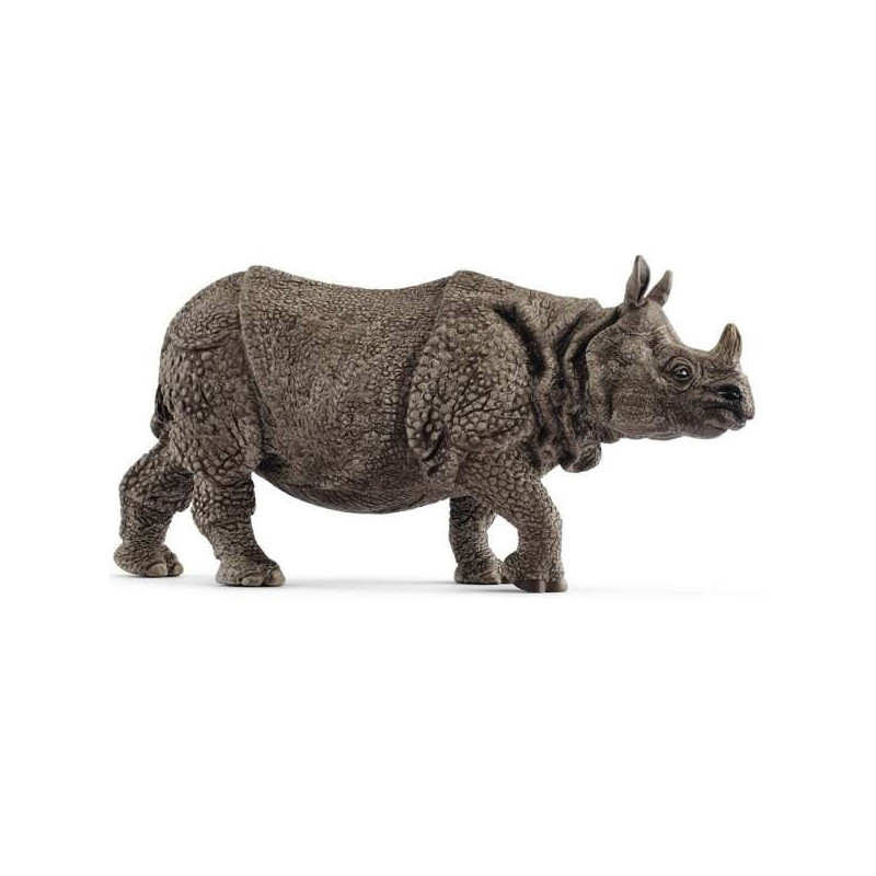 Imagen rinoceronte indio