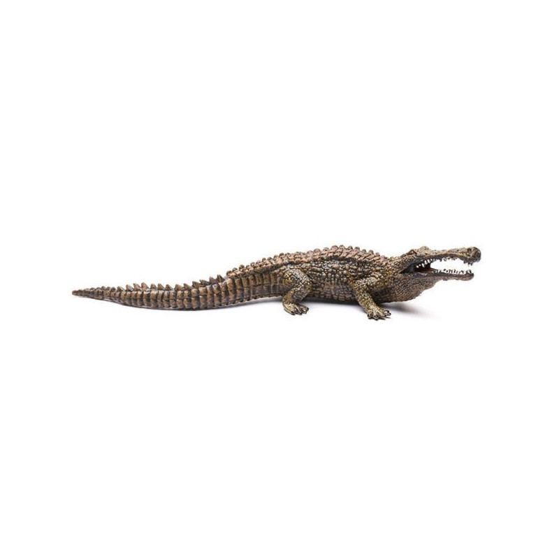 Imagen sarcosuchus 18