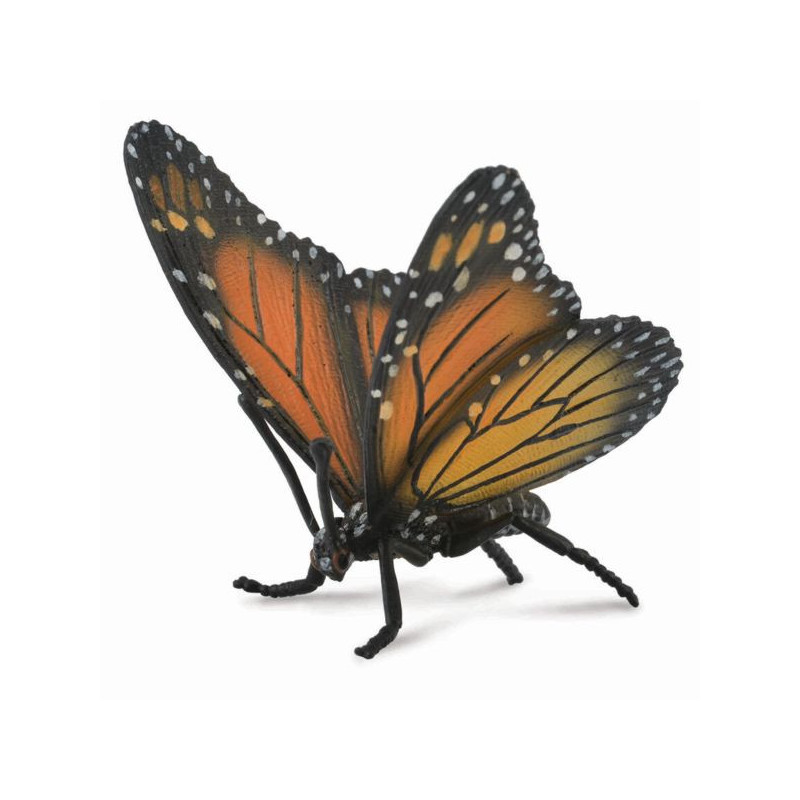 Imagen mariposa monarca 6x6cm