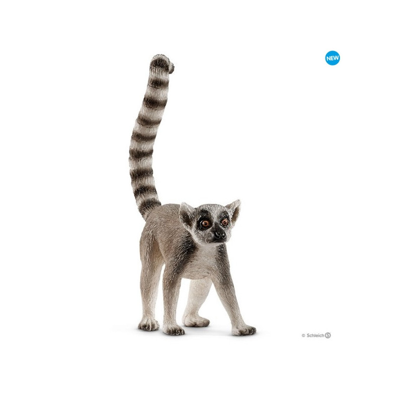 Imagen lemur de cola anillada