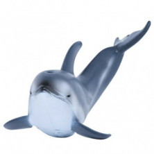 Imagen delfin del pacifico