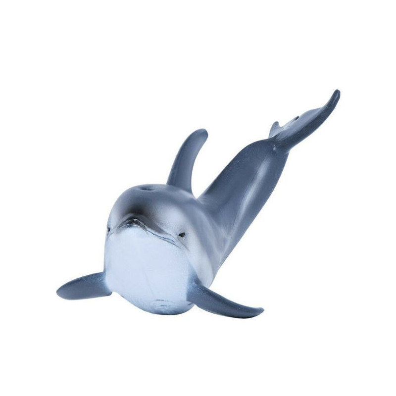 Imagen delfin del pacifico