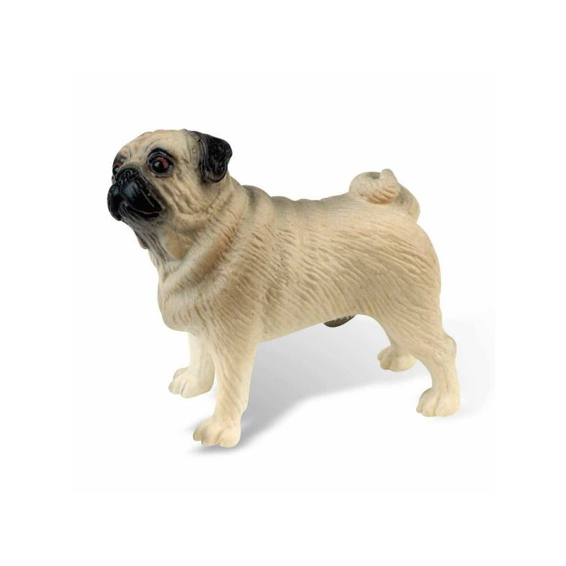 Imagen perro carlino percy