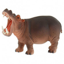 Imagen hipopotamo 14