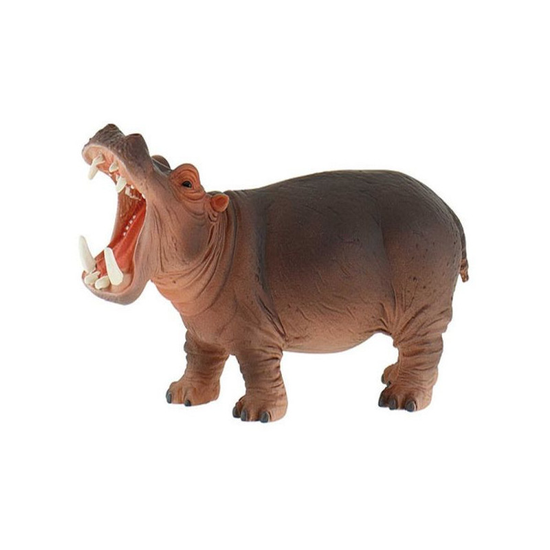 Imagen hipopotamo 14