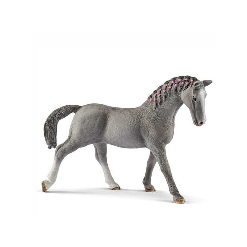 Imagen yegua trakehner