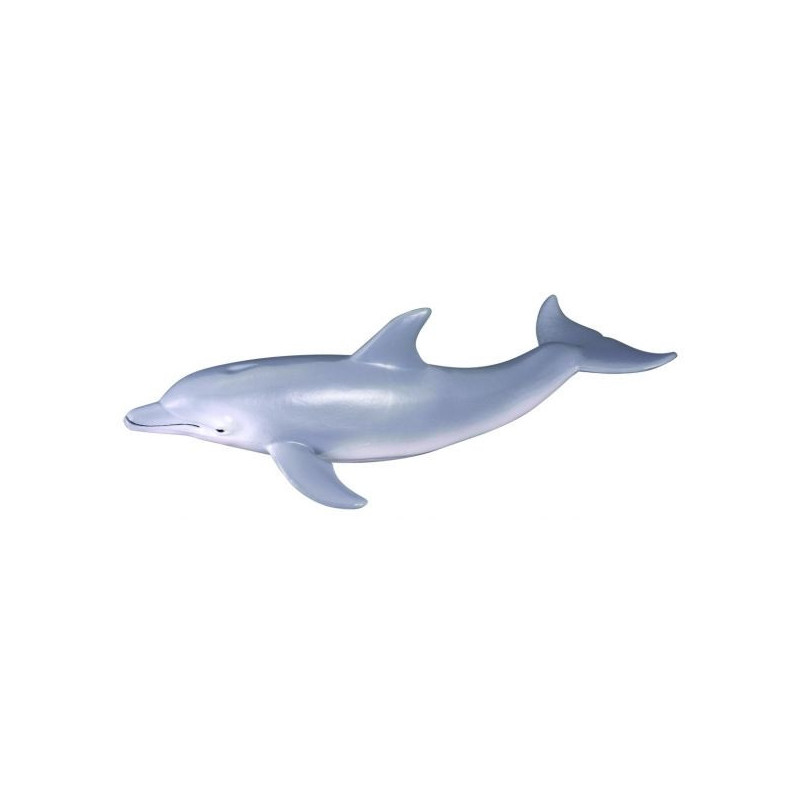Imagen delfin