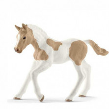Imagen potro paint horse