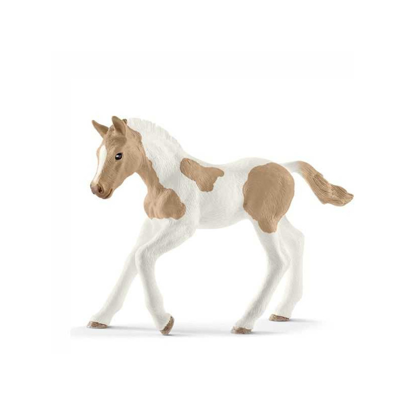 Imagen potro paint horse