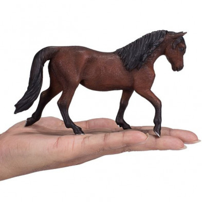 imagen 2 de caballo semental morgan 14.3cm