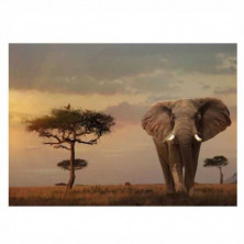 imagen 1 de puzle elefante de los masai 1000 piezas