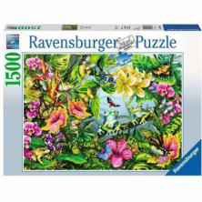 Imagen puzle busca las ranas 1500 piezas