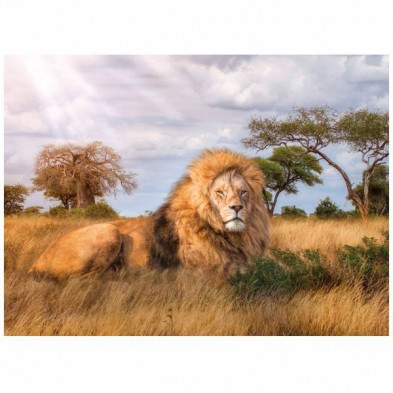 imagen 1 de puzle leon en la selva -the king - 1000 piezas