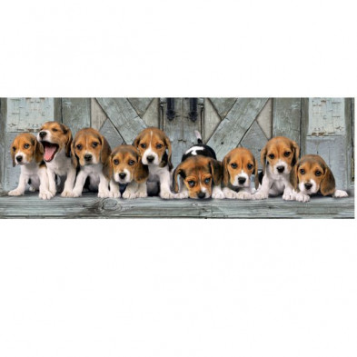 imagen 1 de puzle panorama beagles 1000 piezas