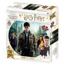 Imagen puzzle lenticular harry hermione y ron 300pz