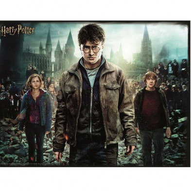 imagen 1 de puzzle lenticular harry hermione y ron 300pz