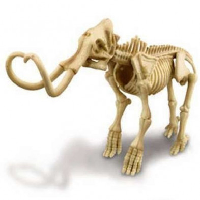 imagen 1 de kidz paleontología esqueleto mamut
