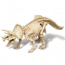 imagen 1 de kidz paleontología esqueleto triceratops