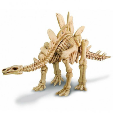 imagen 1 de kidz paleontología esqueleto stegosaurus