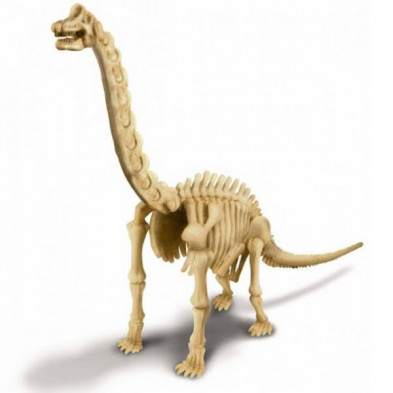 imagen 1 de kidz paleontología esqueleto brachiosaurus