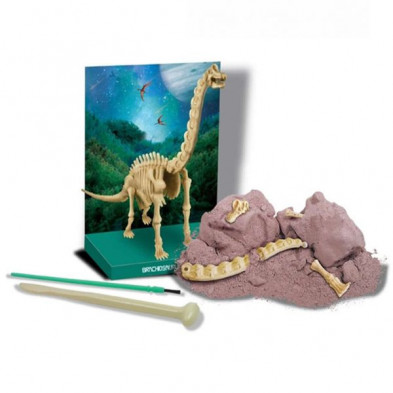 imagen 2 de kidz paleontología esqueleto brachiosaurus