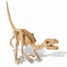 imagen 1 de kidz paleontología esqueleto velociraptor
