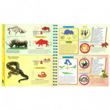 imagen 1 de busca y compara animales prehistóricos y actuales