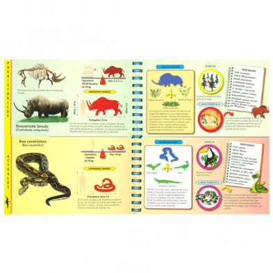 imagen 1 de busca y compara animales prehistóricos y actuales