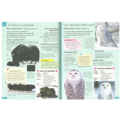 imagen 1 de libro preguntas y respuestas sobre los animales