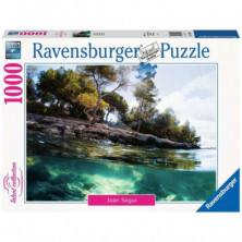 Imagen puzzle ravensburger puntos de vista 1000 piezas