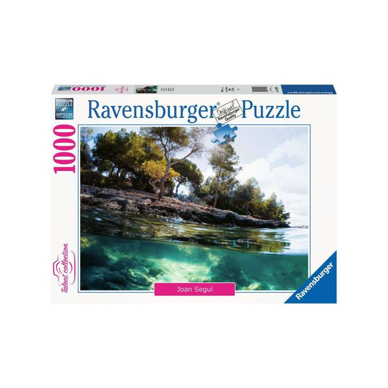 Imagen puzzle ravensburger puntos de vista 1000 piezas