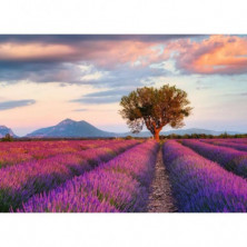 imagen 1 de puzzle ravensburger campos de lavanda 1000 piezas