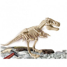 imagen 1 de arqueojugando el esqueleto del gran t-rex