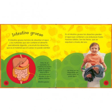 imagen 1 de libro el aparato digestivo el cuerpo humano todoli