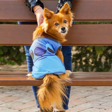 Camiseta hotsell de perro