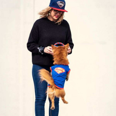 imagen 4 de camiseta perro single jersey superman dc t. xxs