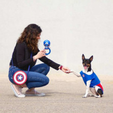 imagen 4 de camiseta perro single jersey capitan america t.xxs