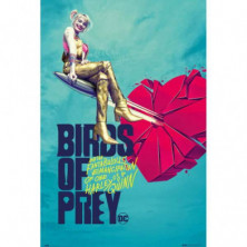 POSTER BIRDS OF PREY BROKEN HEART