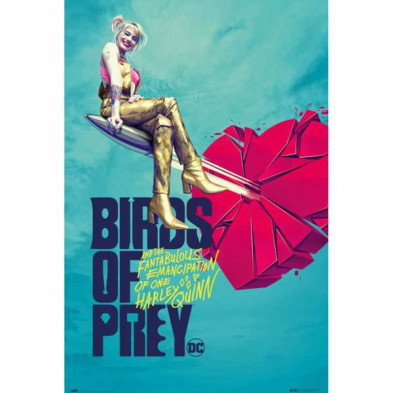 Imagen poster birds of prey broken heart