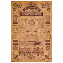 POSTER HARRY POTTER QUIDDITCH AT HOGWARTS