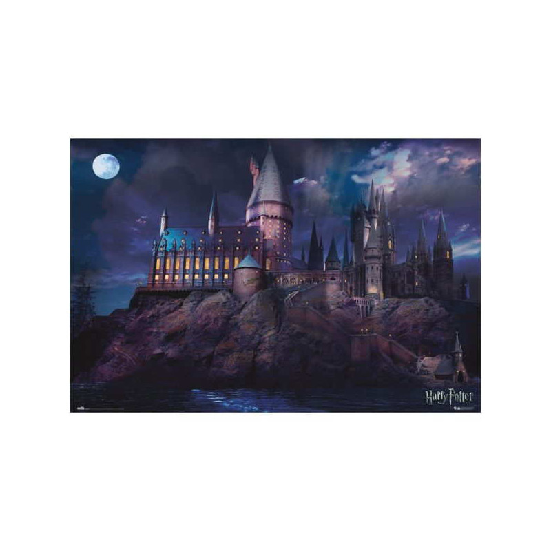 Poster harry potter hogwarts