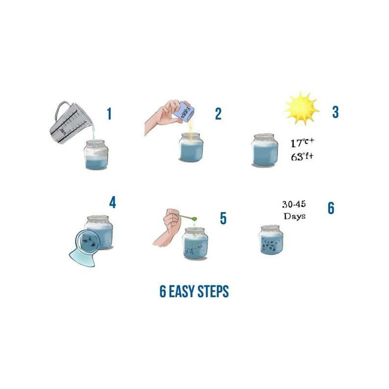 Aqua dragons jurassic time travel eggspedition