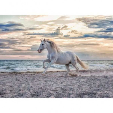 imagen 1 de puzzle ravensburger caballo blanco en playa 500 pz